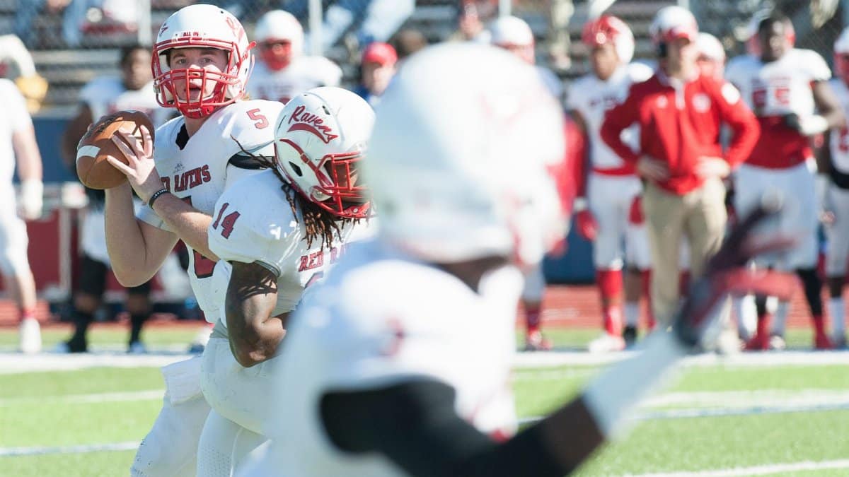 Football players on the field captured in action during a lively game.