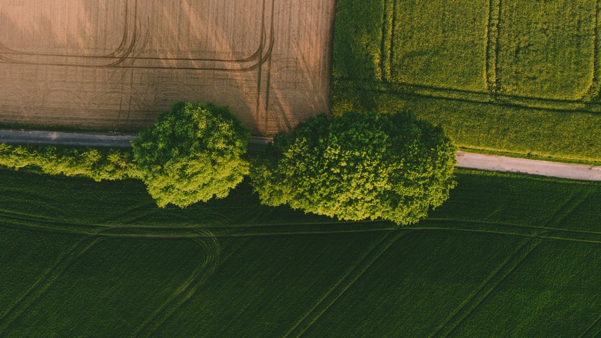 Aerial photo showcasing lush green fields and trees during the day.