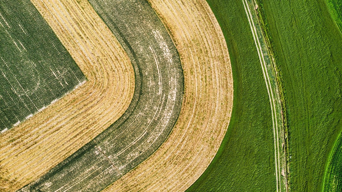 Aerial view of green and yellow farmland creating geometric patterns in Zumbro Falls, MN.