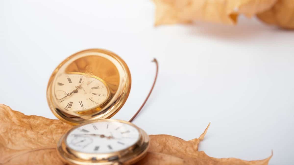 Elegant gold pocket watches resting on dry autumn leaves, symbolizing the passage of time.