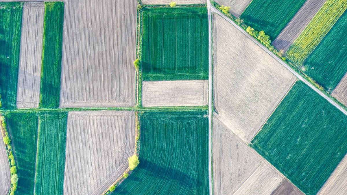 Captivating aerial view of colorful patchwork fields, showcasing rural agriculture and natural beauty.