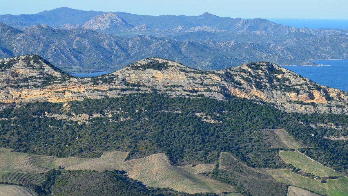 Stunning view of Corsican mountains with lush greenery and rugged terrain under a clear blue sky.