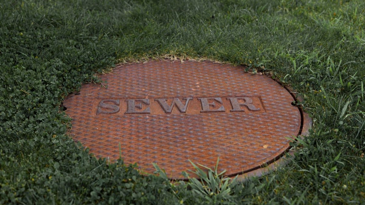 Close-up of a rusty sewer manhole cover in a grassy Boston park.