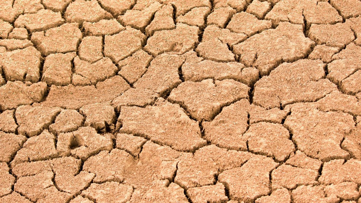 Close-up of cracked dry earth showing effects of extreme drought and climate change.