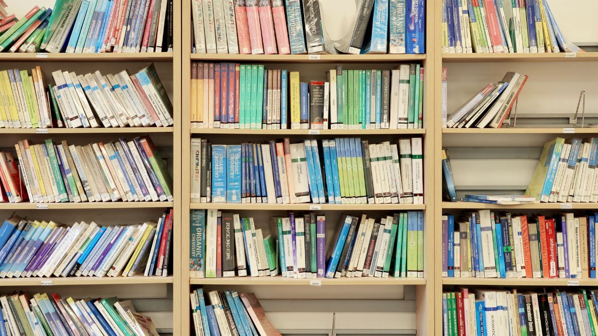 Vibrant books neatly arranged on library shelves in Fès, Morocco.