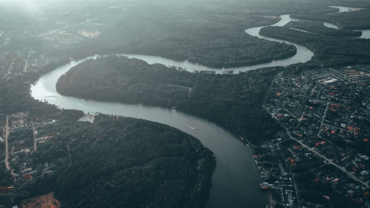Aerial view of river flowing through shores covered with dense woods and suburb settlement