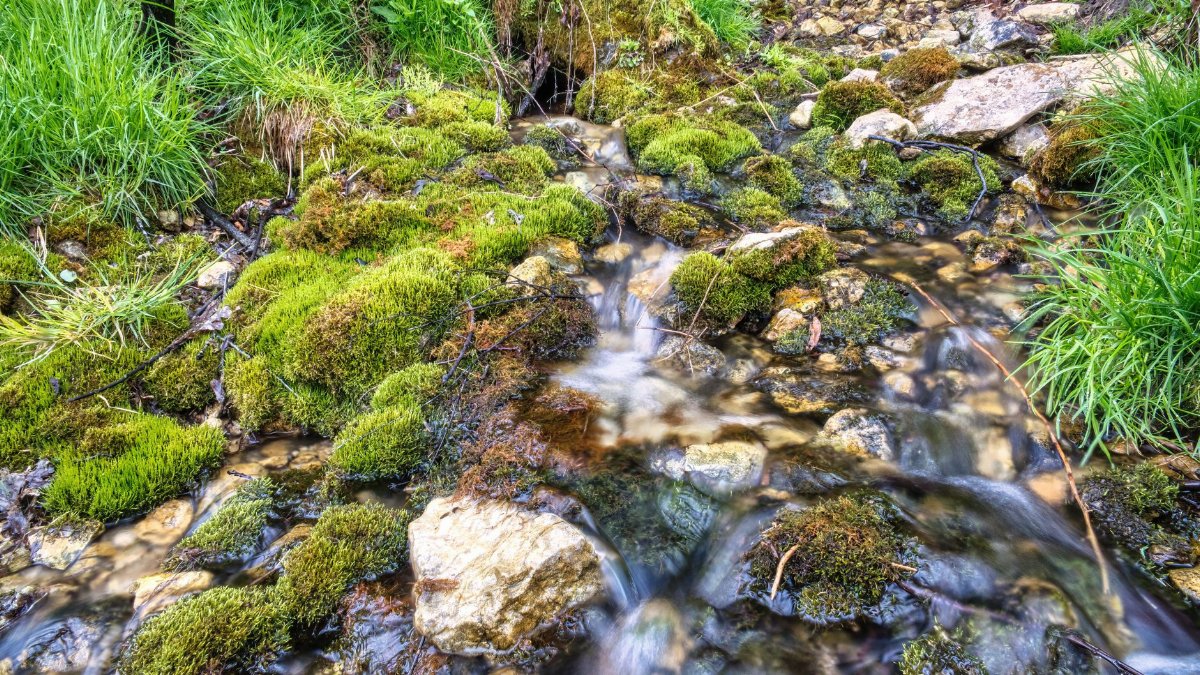 A peaceful stream flows over vibrant green moss and rocks in Beaver, MN.