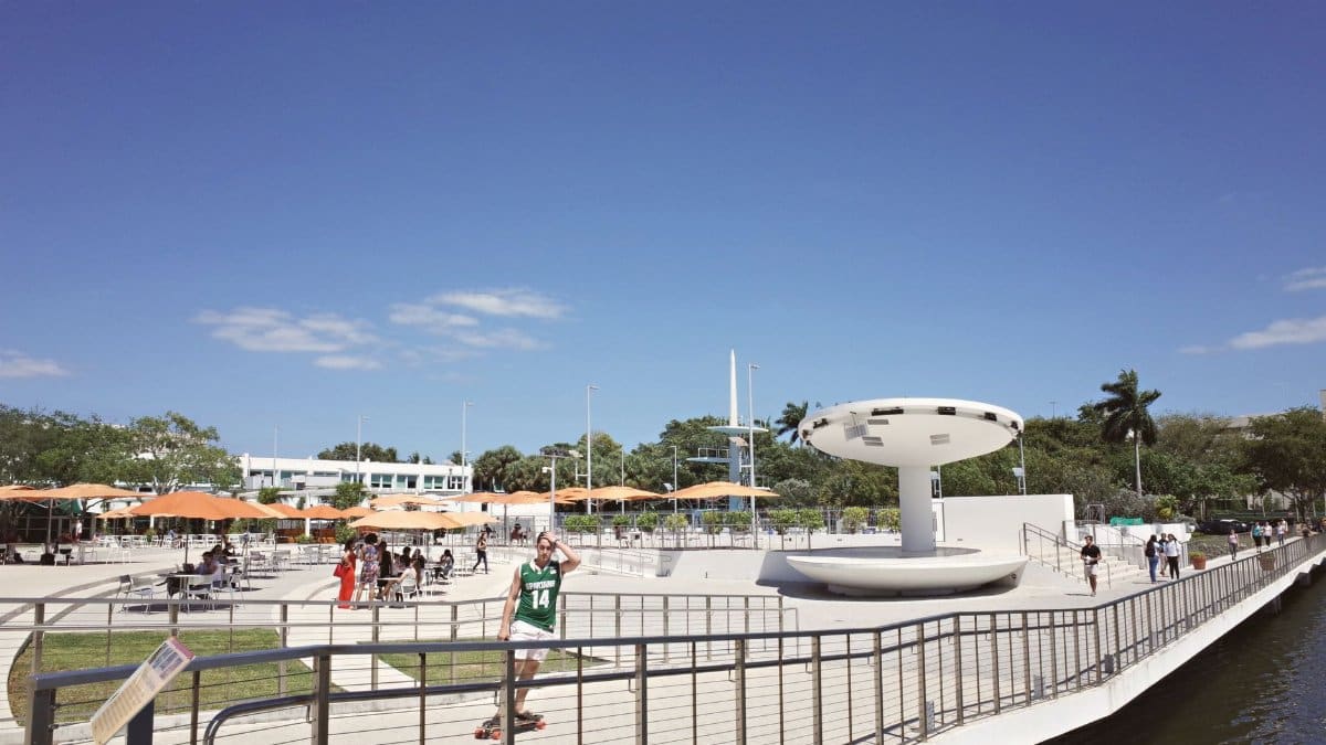 Vibrant scene of students enjoying a sunny day at the University of Miami campus.