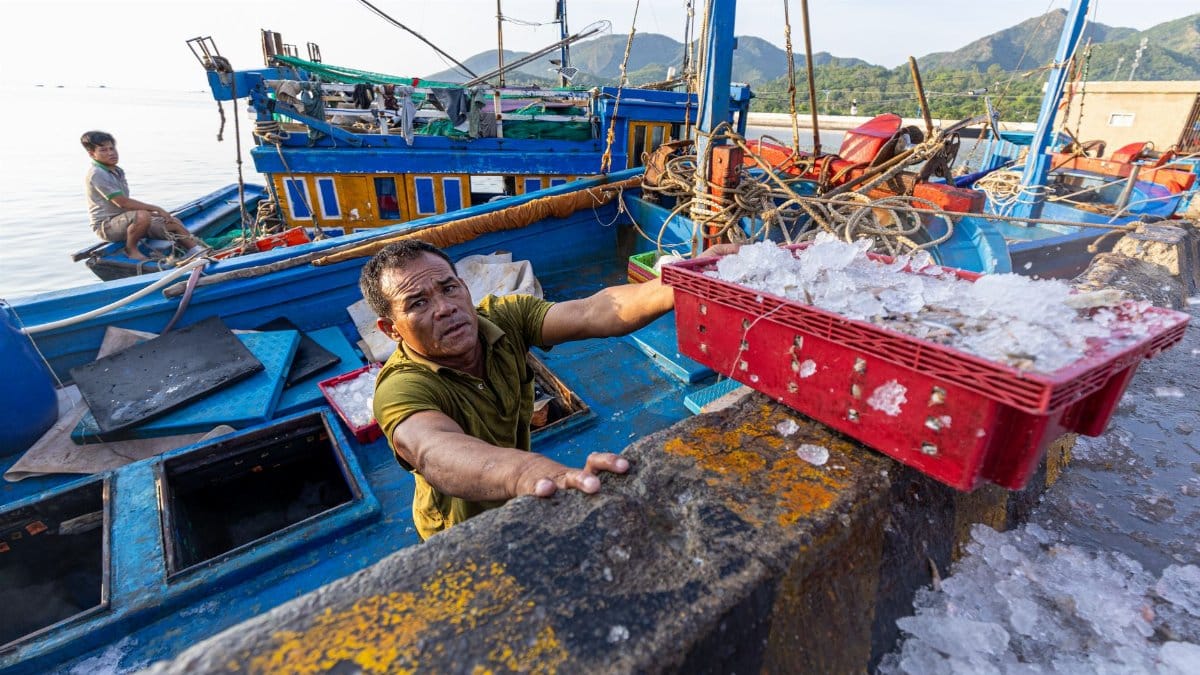 A fisherman loads ice onto a vibrant fishing boat docked by a scenic harbor.