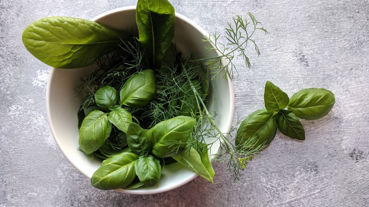A variety of fresh green herbs including basil in a white bowl on a textured surface.