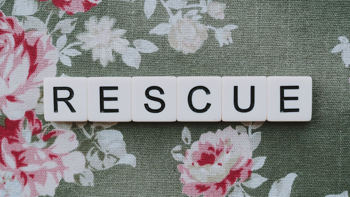 Rescue spelled out with letter tiles on a floral textile background, symbolizing hope and recovery.