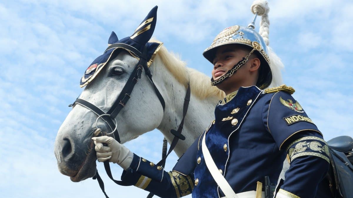 Royal guard in ceremonial uniform poses with a majestic horse under a clear blue sky.