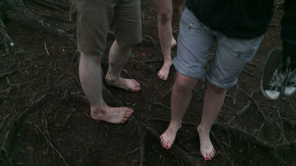 From above of crop unrecognizable barefoot people standing on roots of trees in woods