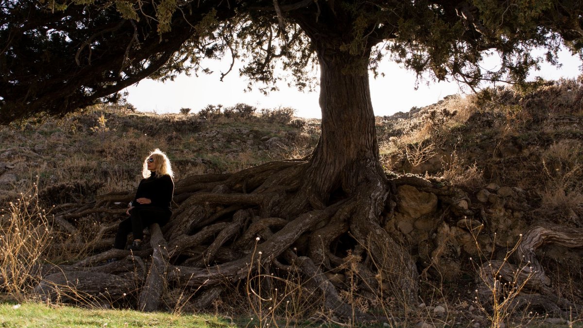 A woman sitting under a large tree with exposed roots in Konya, Türkiye capturing serenity and nature.