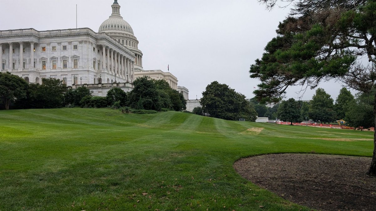 View of the US Capitol with green lawns and overcast skies in Washington DC.