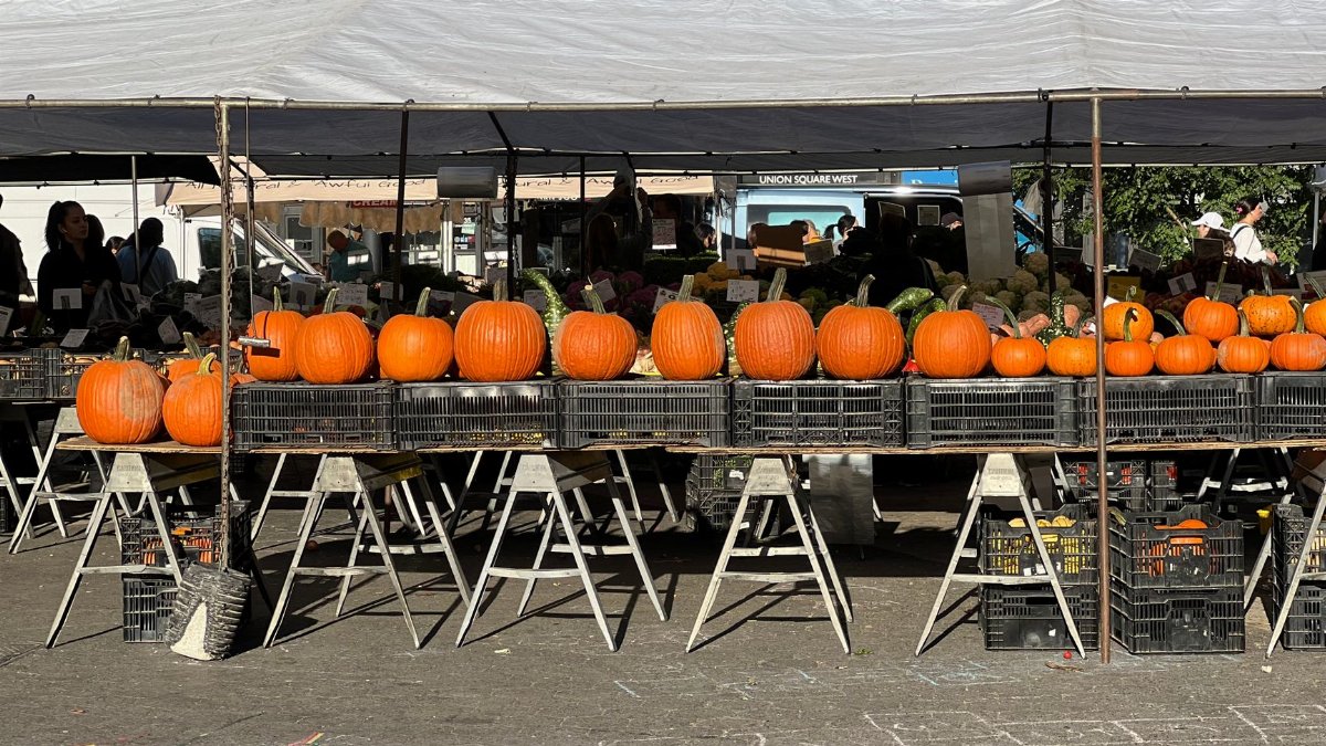 Colorful pumpkins on display at an outdoor market stall, perfect for fall festivities.