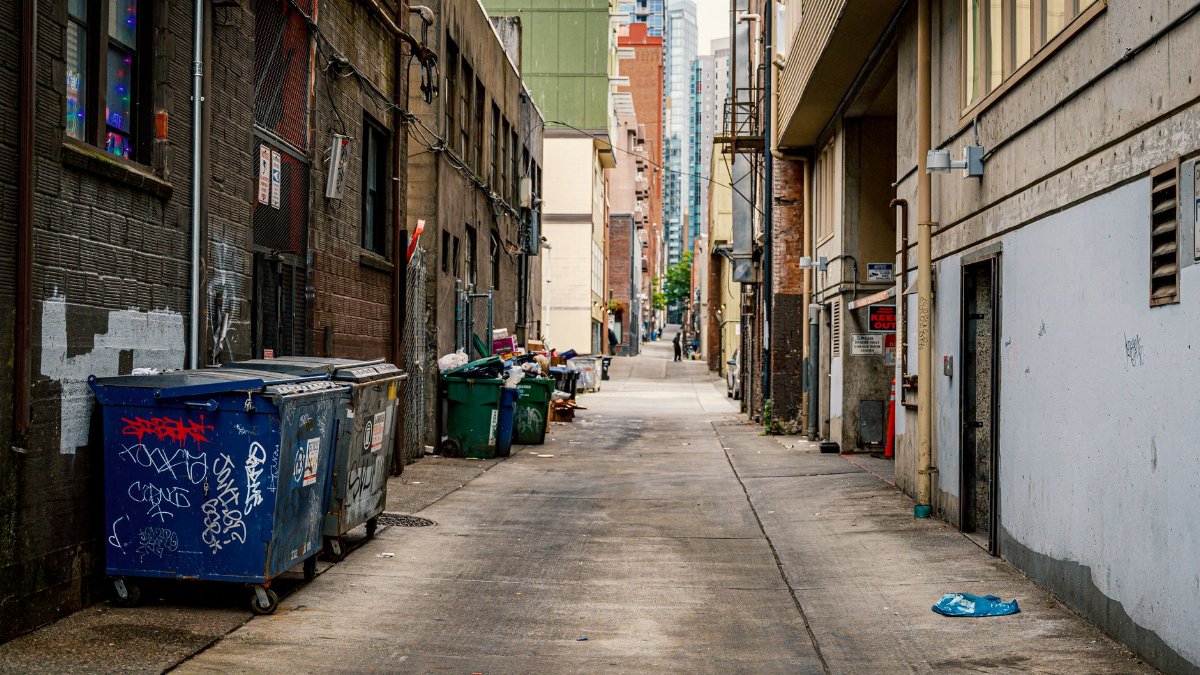 A narrow urban alley in Seattle with trash cans and graffiti, showcasing the city's downtown aesthetic.