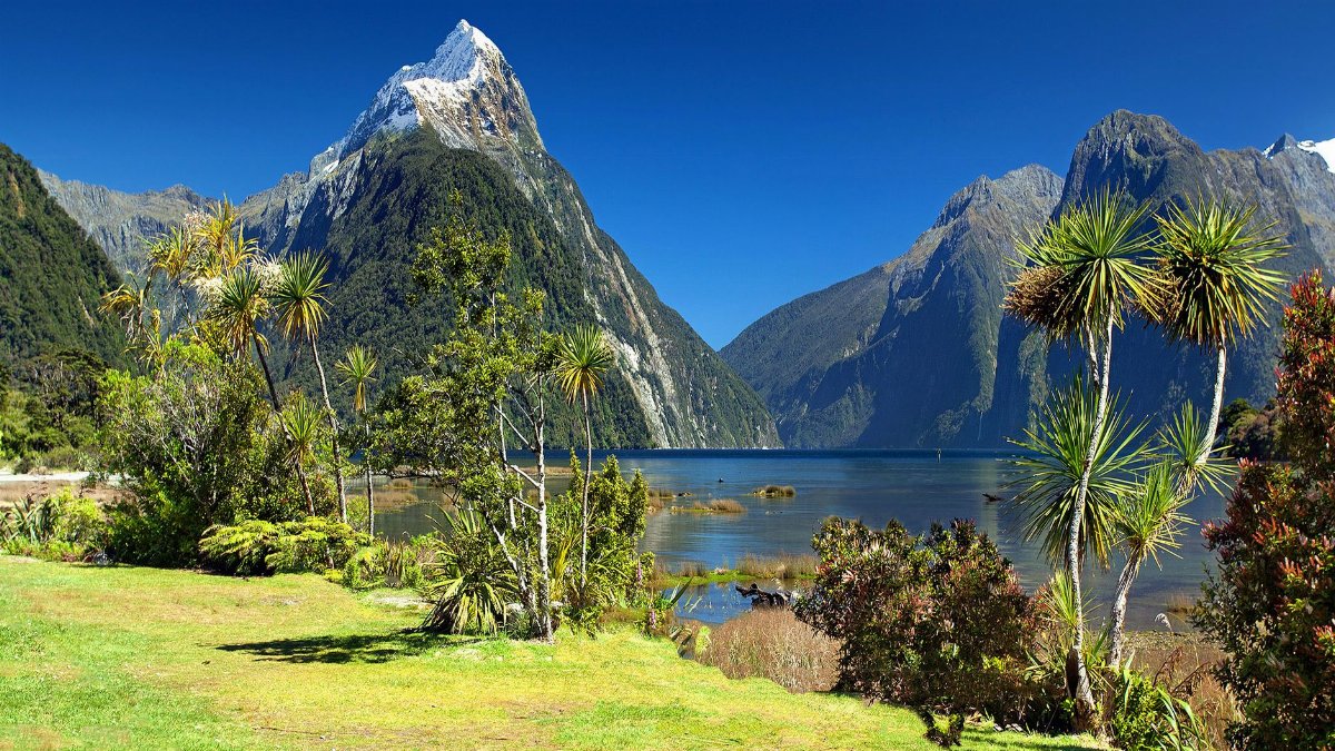 Breathtaking view of Milford Sound with Mitre Peak, lush greenery, and clear blue skies.