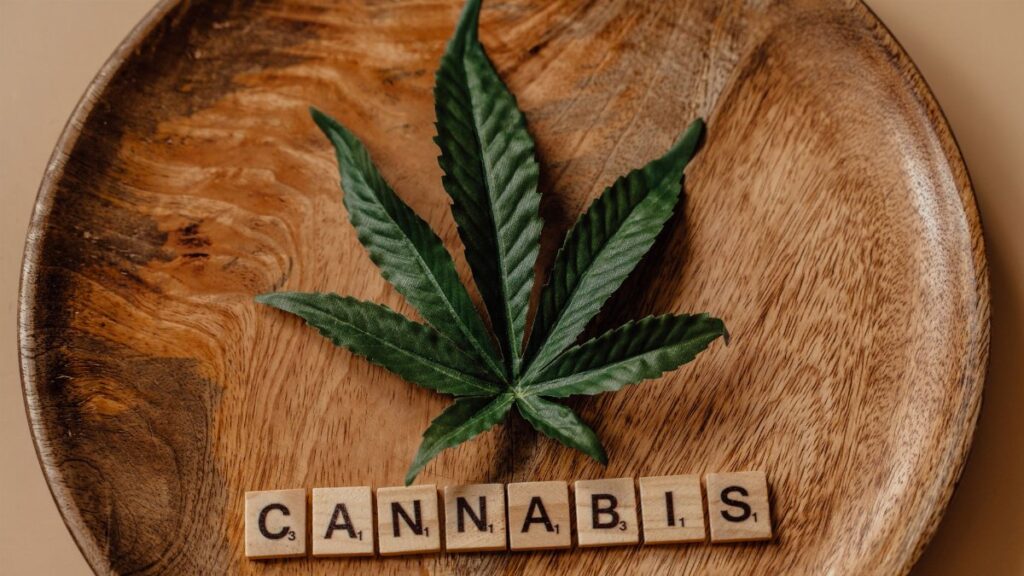 Top view of a cannabis leaf on a wooden plate with Scrabble tiles spelling 'cannabis'.