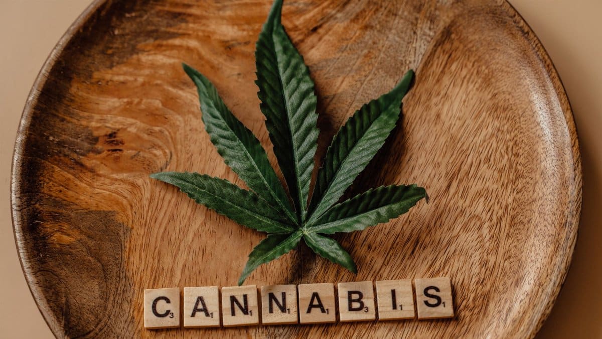 Top view of a cannabis leaf on a wooden plate with Scrabble tiles spelling 'cannabis'.