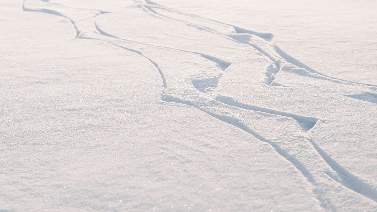 A peaceful snowy landscape with visible tracks and patterns in sunlight.