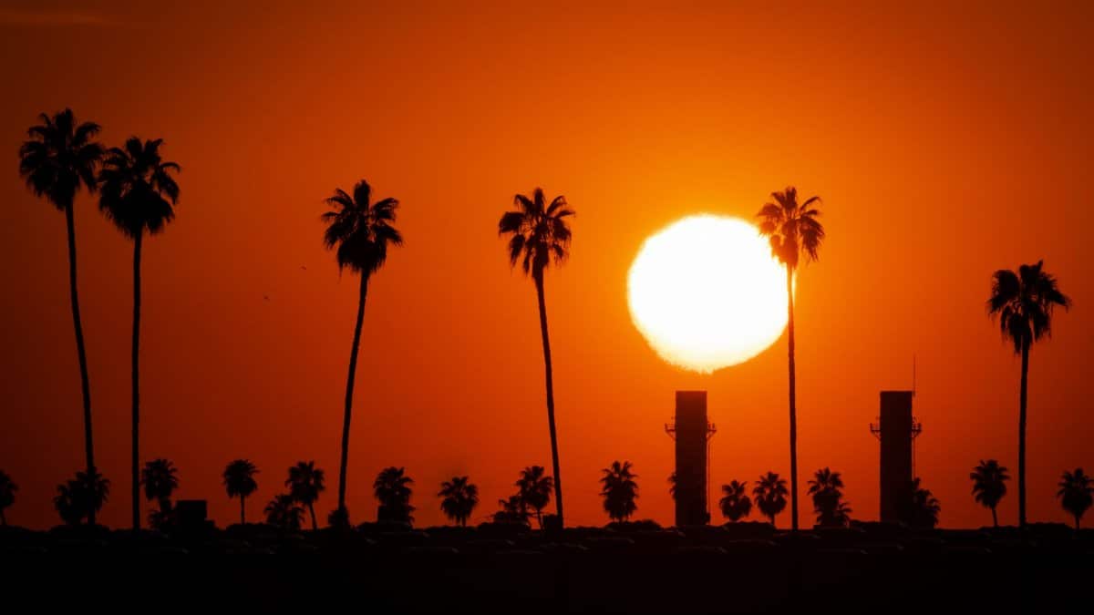 A dramatic sunset silhouette of palm trees and industrial structures in Redlands, California.