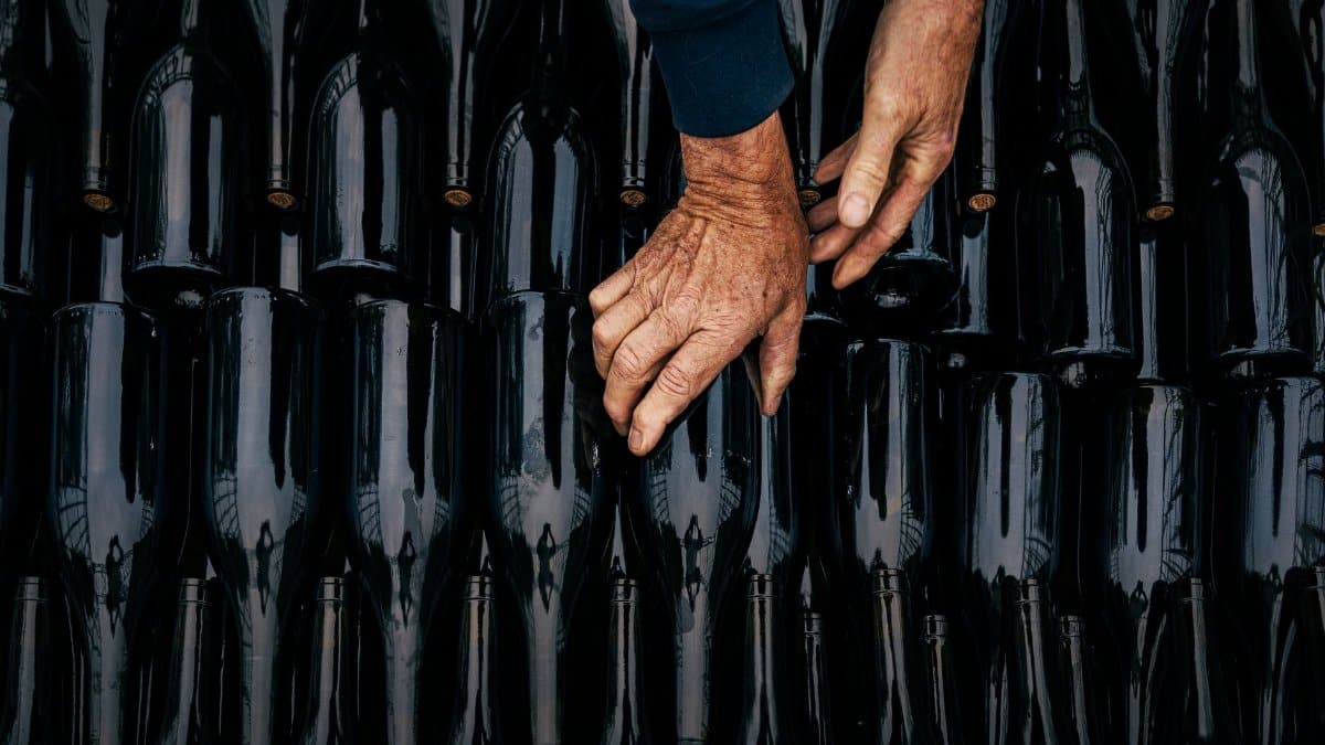 Close-up of hands organizing wine bottles in Nouvelle-Aquitaine's artisanal scene.
