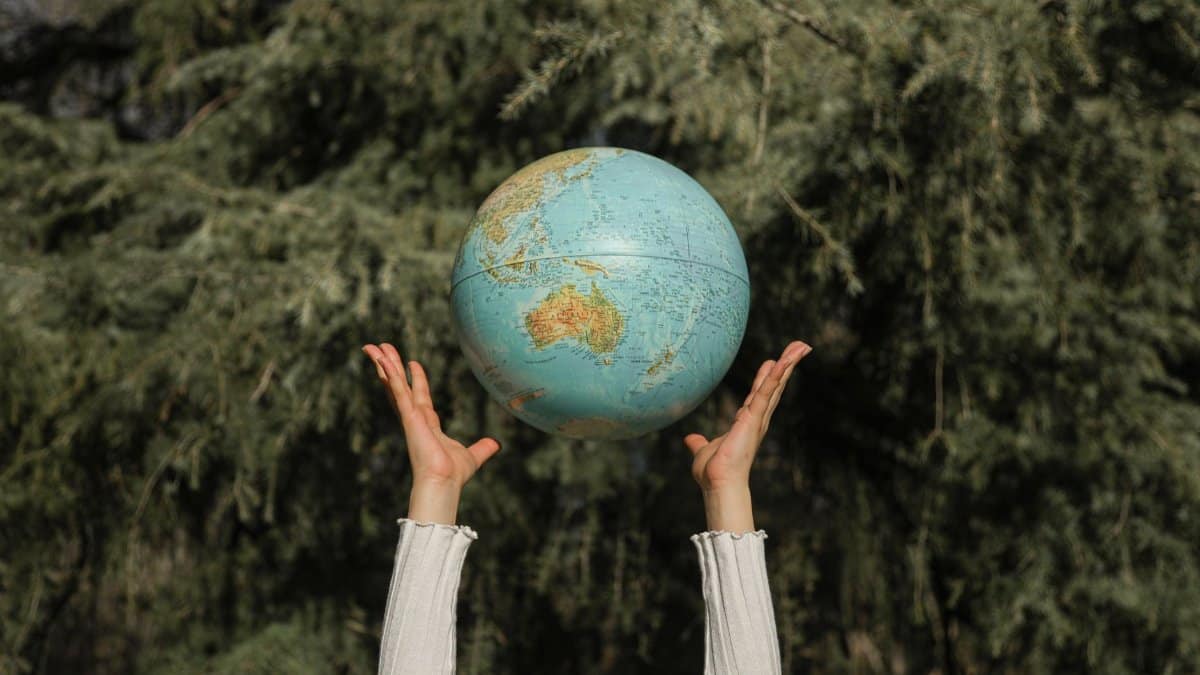 Hands raising a globe against a lush green tree backdrop, symbolizing environmental awareness.