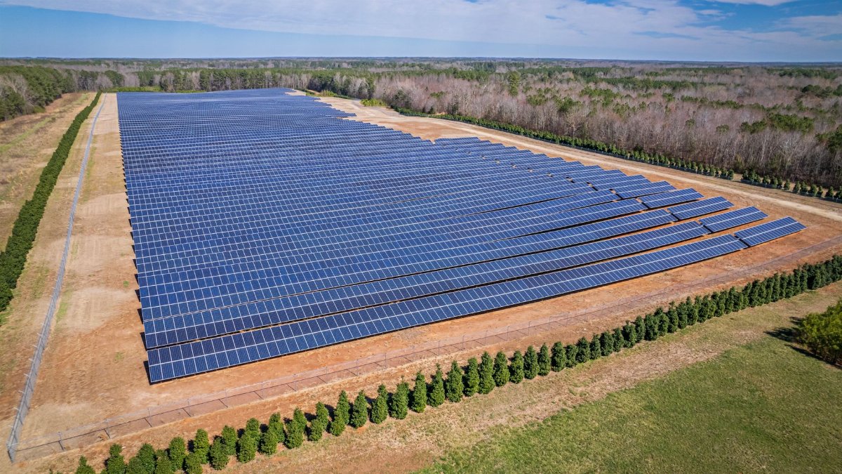 A broad aerial view of a sunlit solar farm surrounded by trees in White Level, NC.