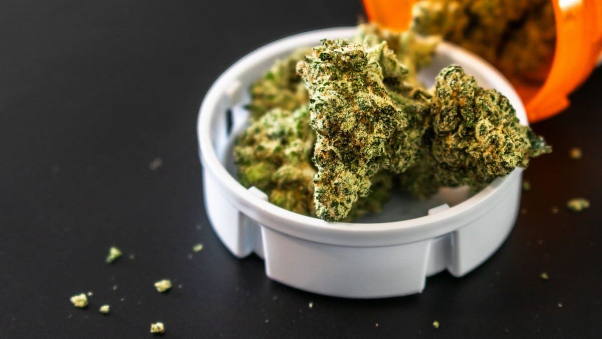 Close-up of cannabis buds spilling from a prescription container, isolated on black background.