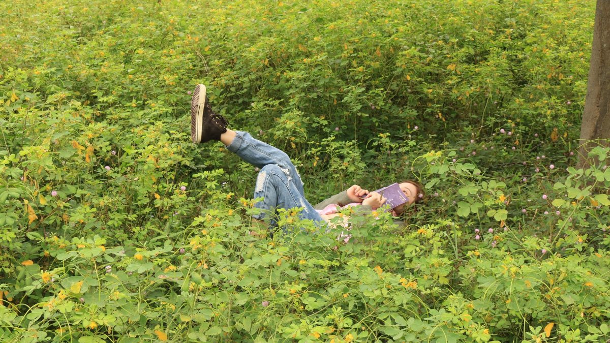 A person reading in a lush meadow, enjoying a peaceful moment in nature.