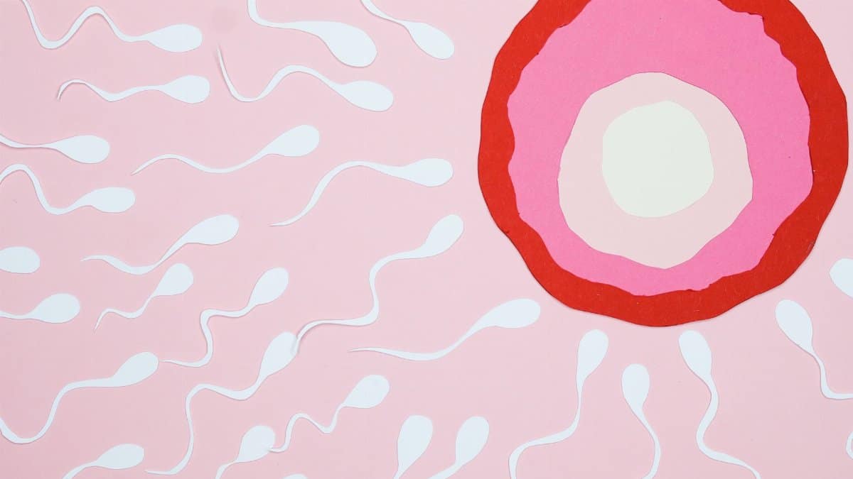 Creative illustration showing sperm moving towards an egg, symbolizing fertilization.