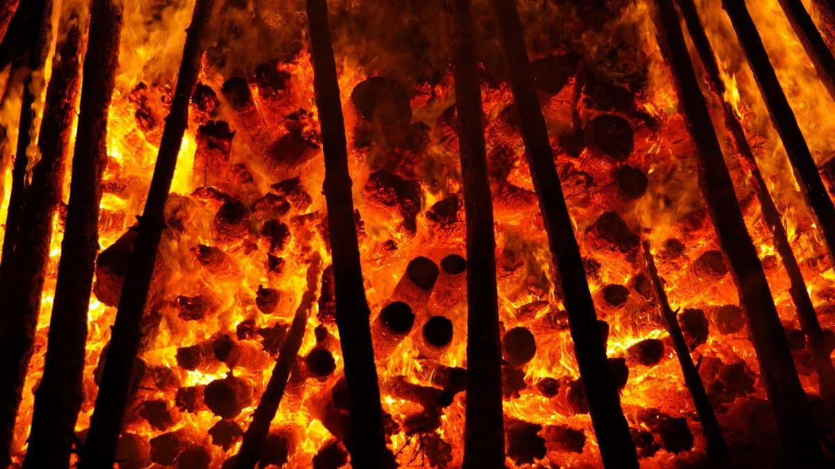 Close-up of a bonfire with intense flames and burning logs, creating a fiery spectacle.