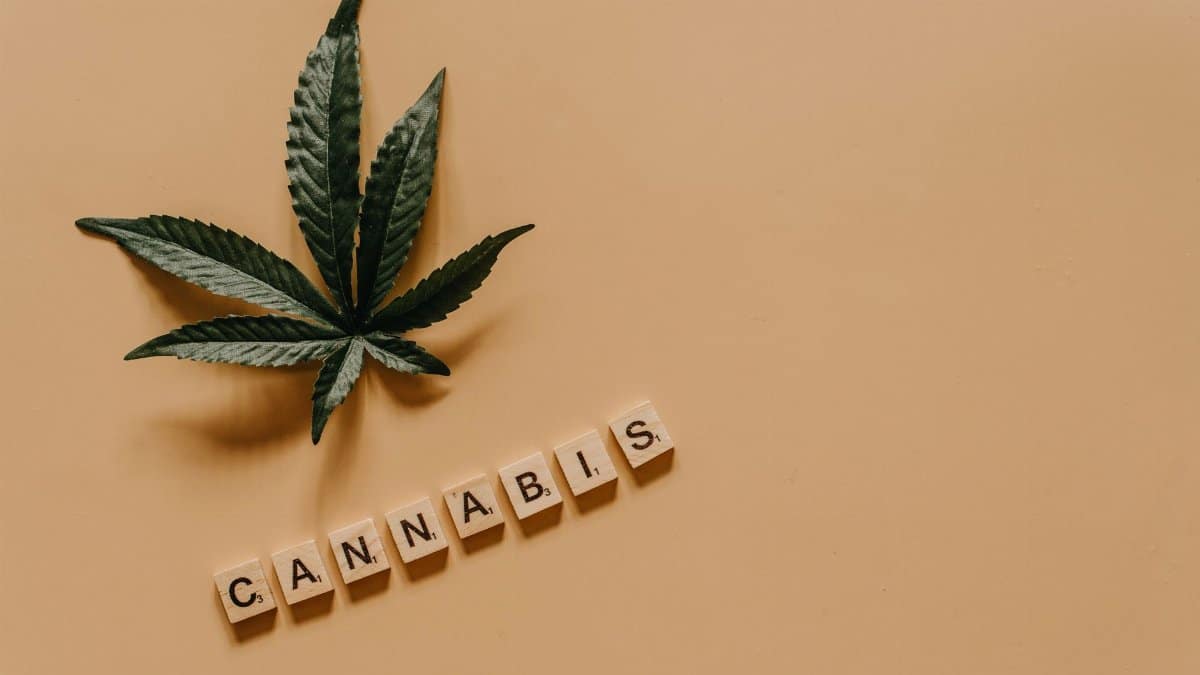 A cannabis leaf with the word 'cannabis' spelled out in letter tiles on a beige background.