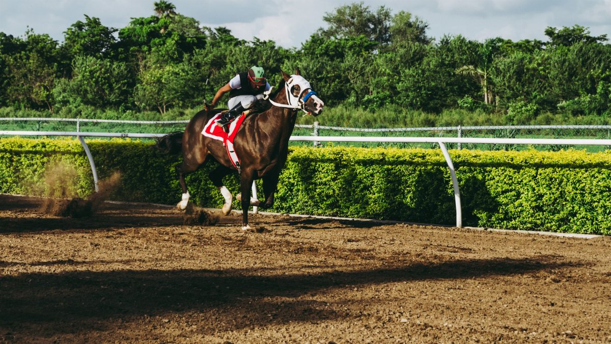Exciting horse racing action with a jockey during the day outdoors on the track.