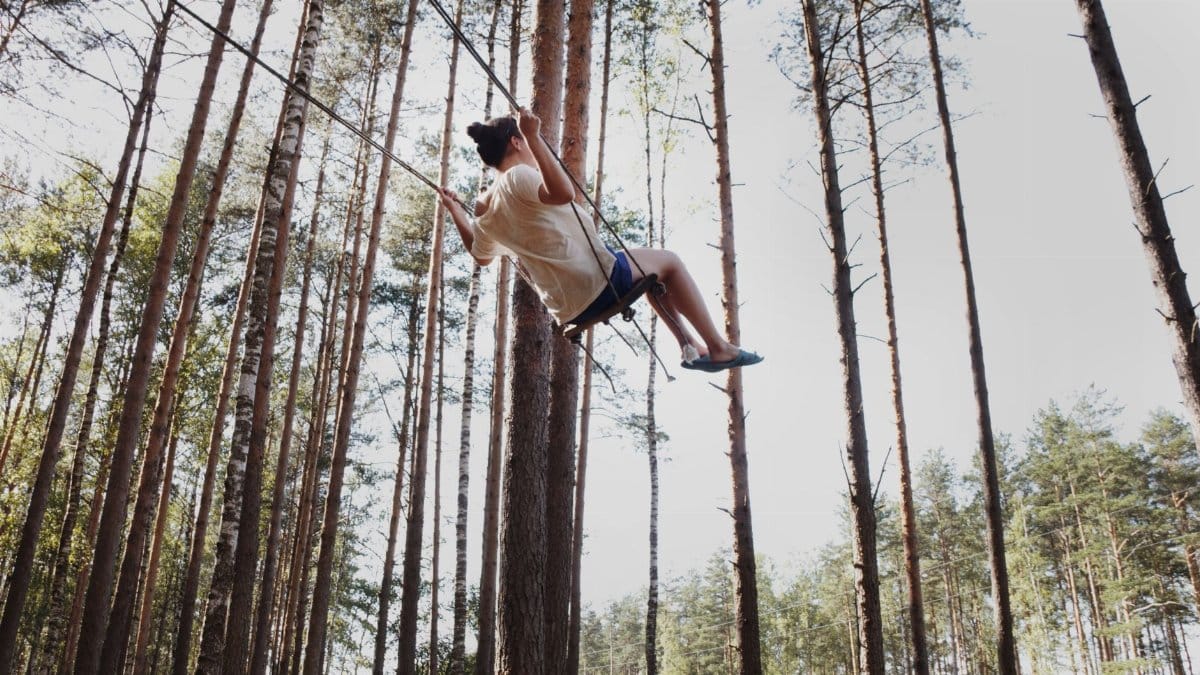 Young girl enjoys a playful swing amidst tall trees in a peaceful forest setting.