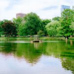 Tranquil park lake surrounded by lush trees and distant city skyline reflecting in the water.