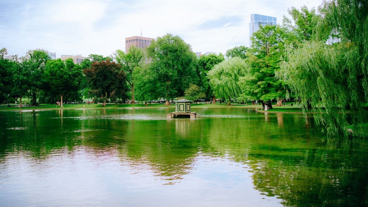 Tranquil park lake surrounded by lush trees and distant city skyline reflecting in the water.