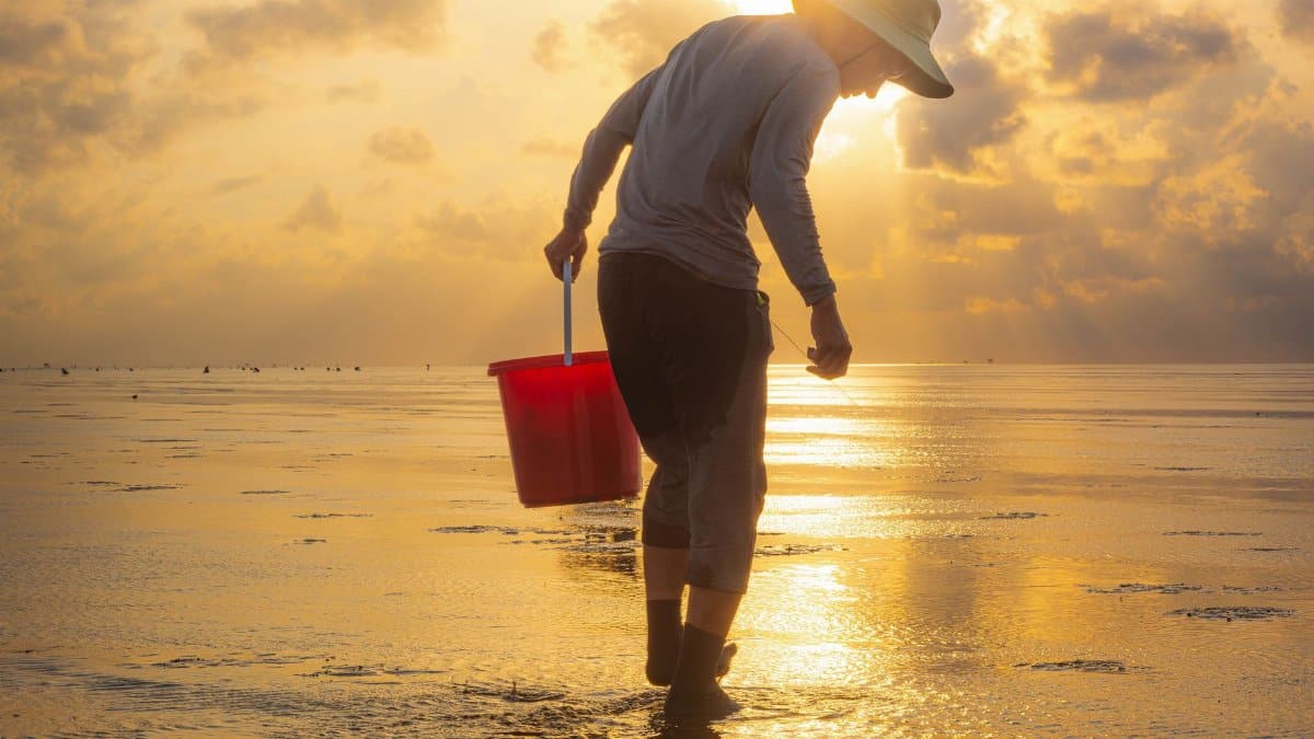 Silhouette of a person with a red bucket walking along the beach during a stunning golden sunset.