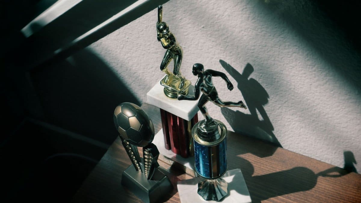 Collection of baseball and soccer trophies in sunlight, highlighting childhood achievements.