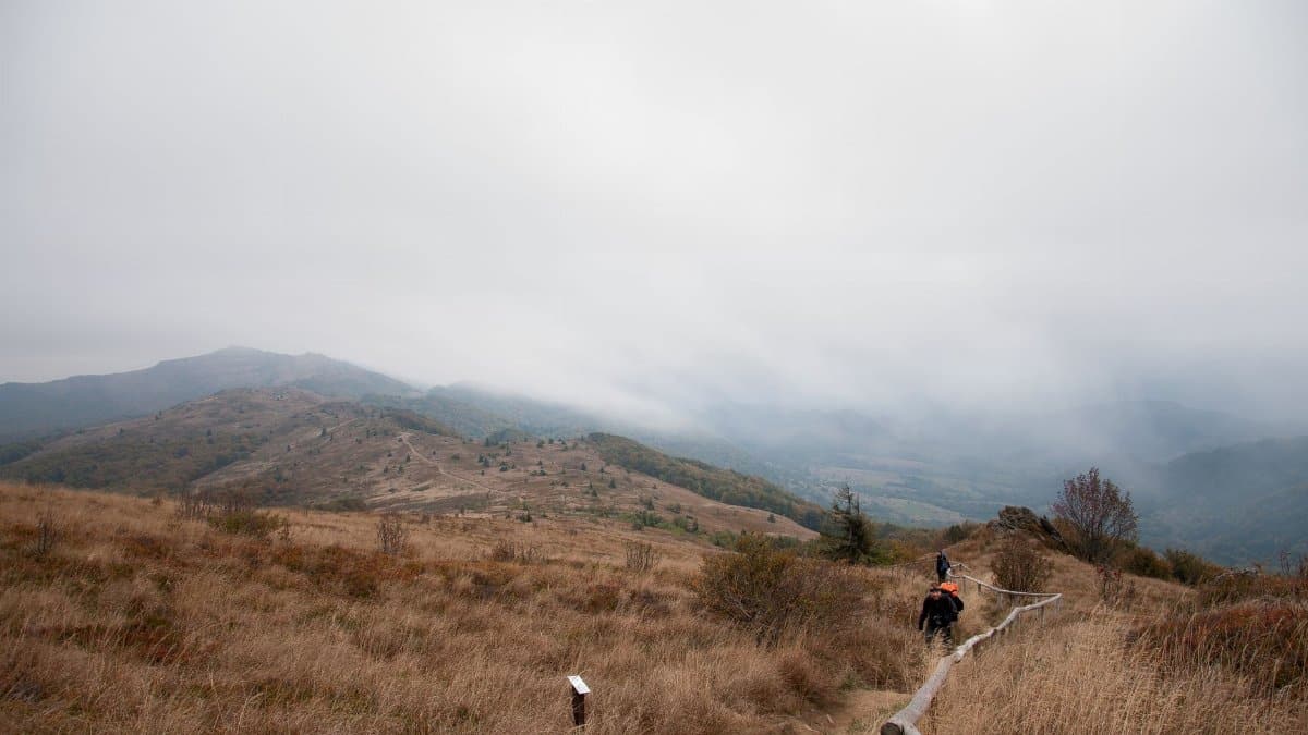 Distant backpackers strolling on rural path among grassy terrain leading to hilly area covered with fog in nature during trekking