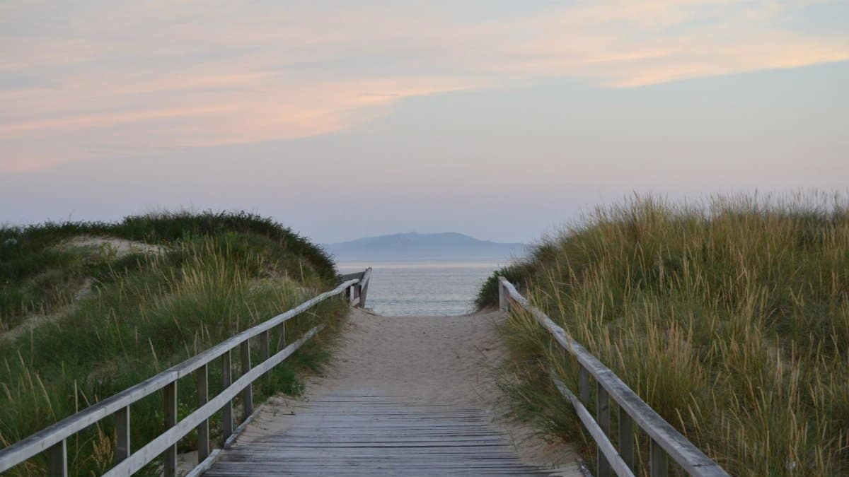 A serene path leading to the beach at twilight with grasses lining the boardwalk.