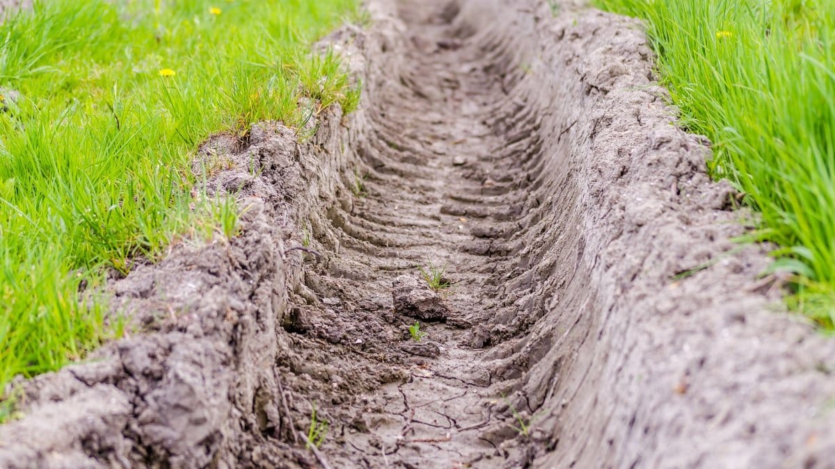 Close-up of a tractor track in a vibrant green field in the countryside.