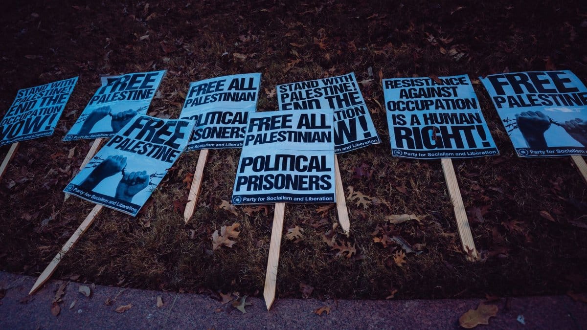 Collection of protest signs advocating for Palestinian freedom and political rights.