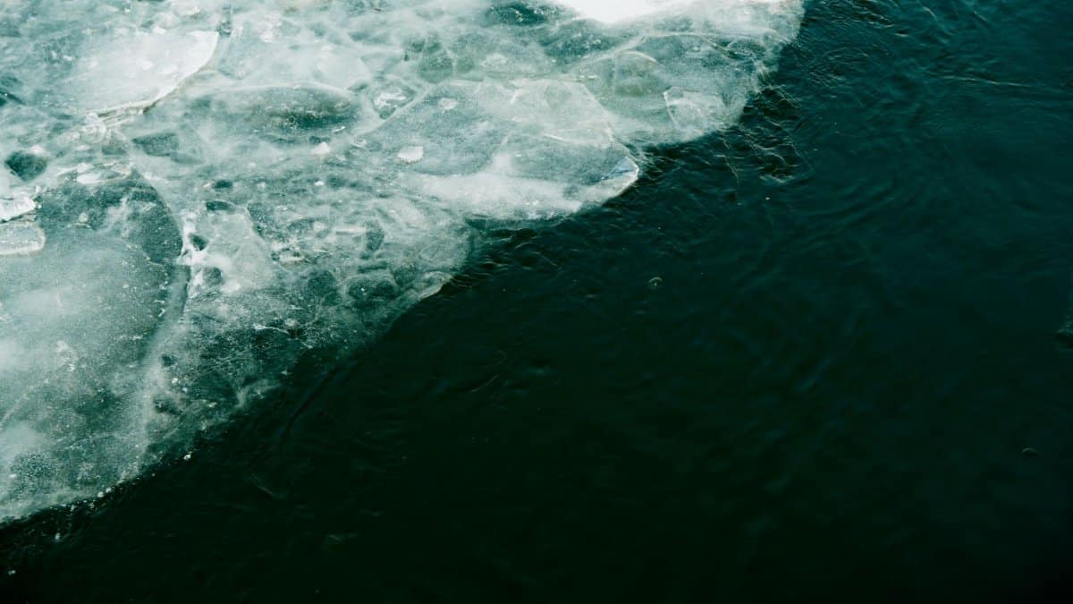Detailed view of the transition between ice and water, capturing the texture and colors of winter.