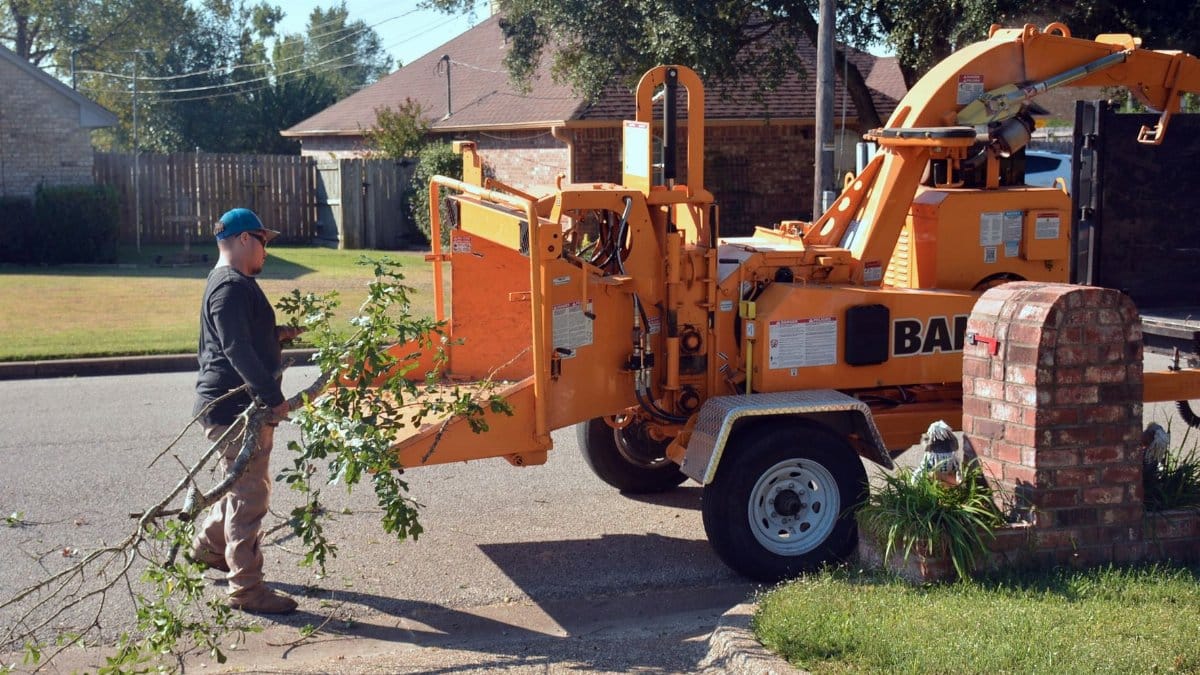 A person operates a wood chipper to trim and manage tree branches outdoors.