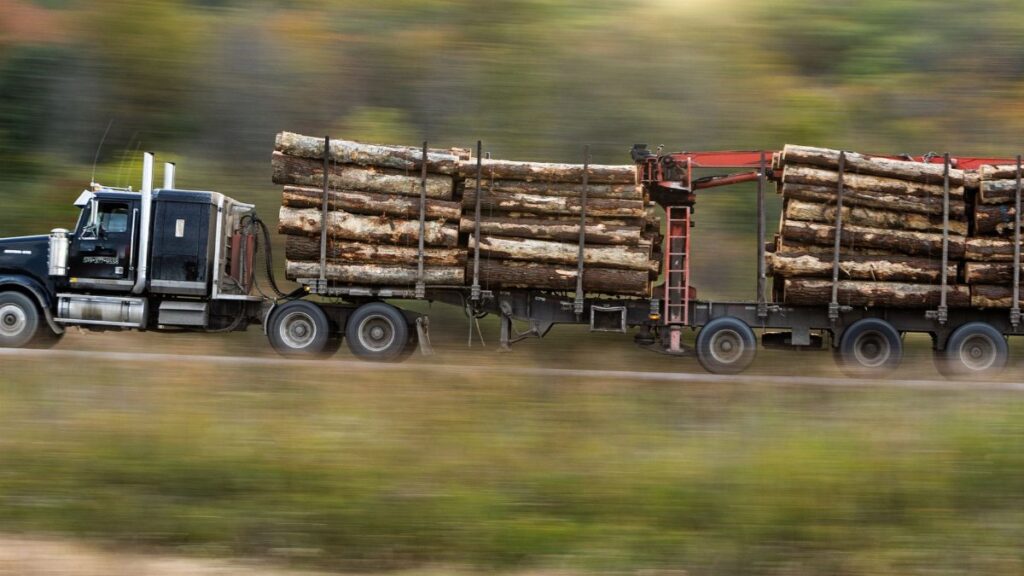 A logging truck transports timber swiftly along a rural highway.