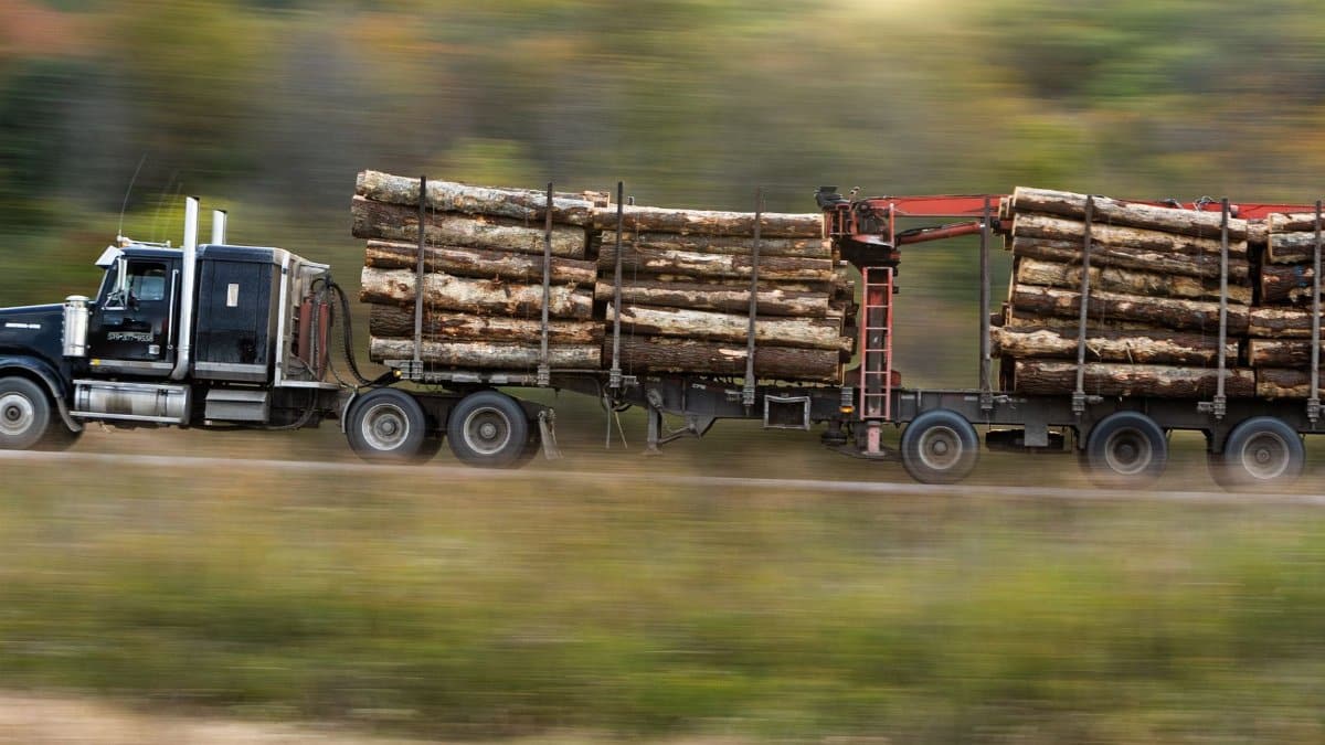 A logging truck transports timber swiftly along a rural highway.