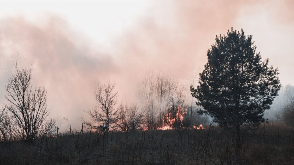 Smoke and flames engulf the forest in Kyiv Oblast, highlighting the threat of wildfires.