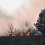 Smoke and flames engulf the forest in Kyiv Oblast, highlighting the threat of wildfires.
